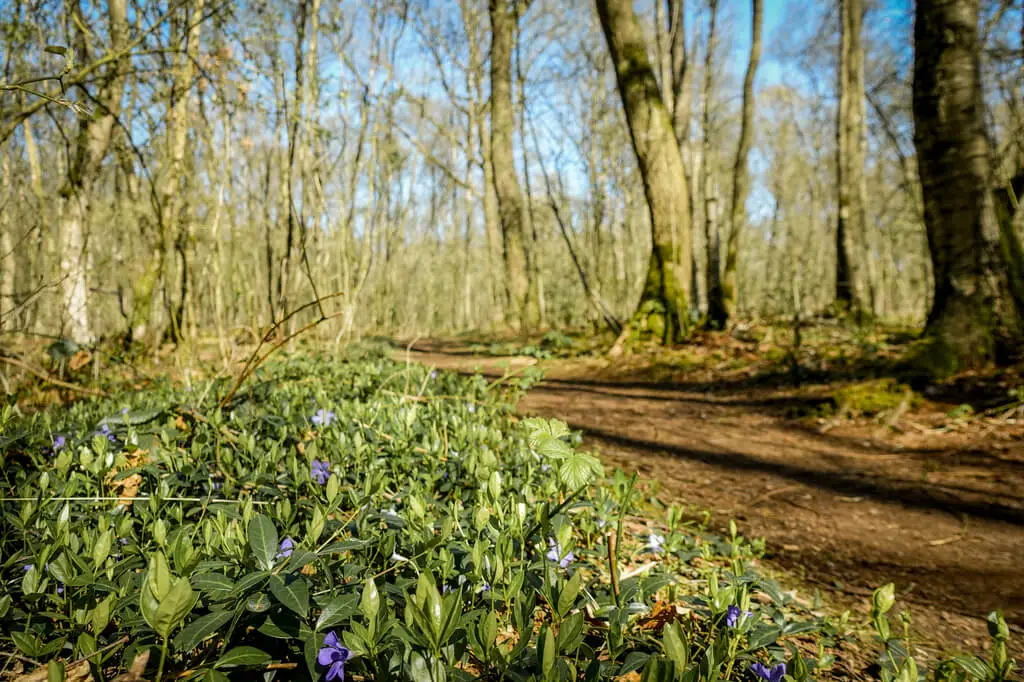 Hohe Mark RadRoute Fürstenkuhle Weg