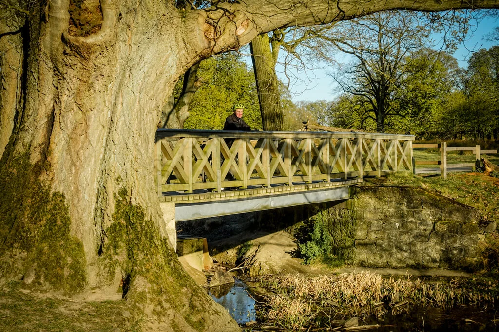 Hohe Mark RadRoute Dülmener Wildpark
